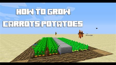 2 in the Pretty Scary Update. . Minecraft potato growth time